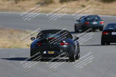 media/Nov-19-2023-Extreme Speed (Sun) [[bd0eec5490]]/Purple/Back Shots/